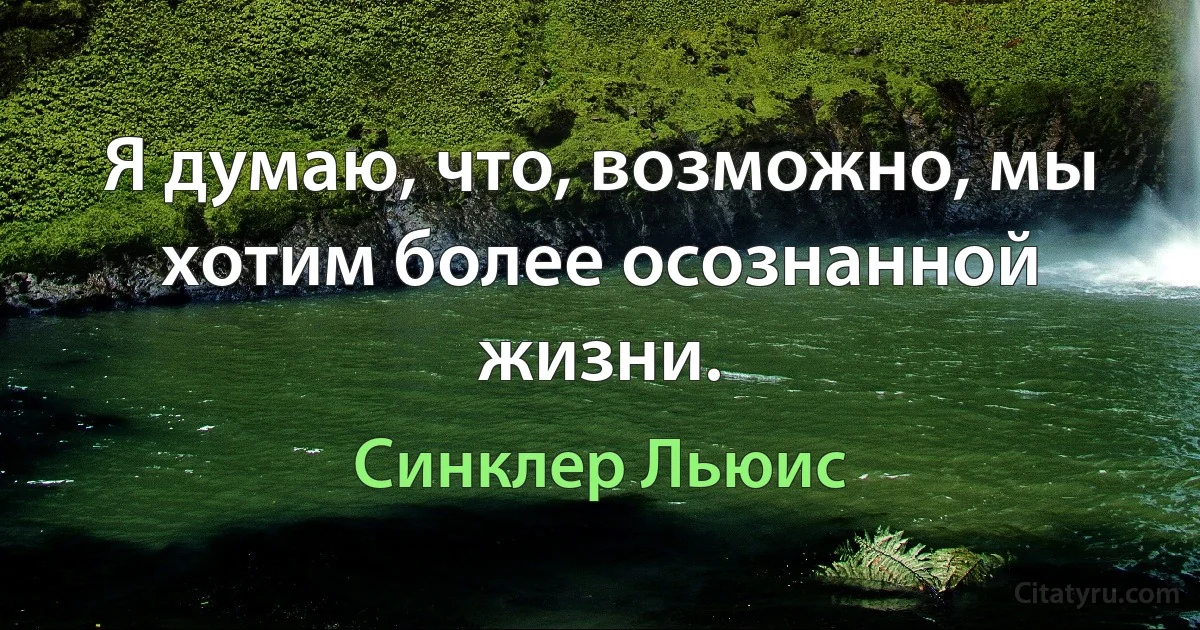 Я думаю, что, возможно, мы хотим более осознанной жизни. (Синклер Льюис)