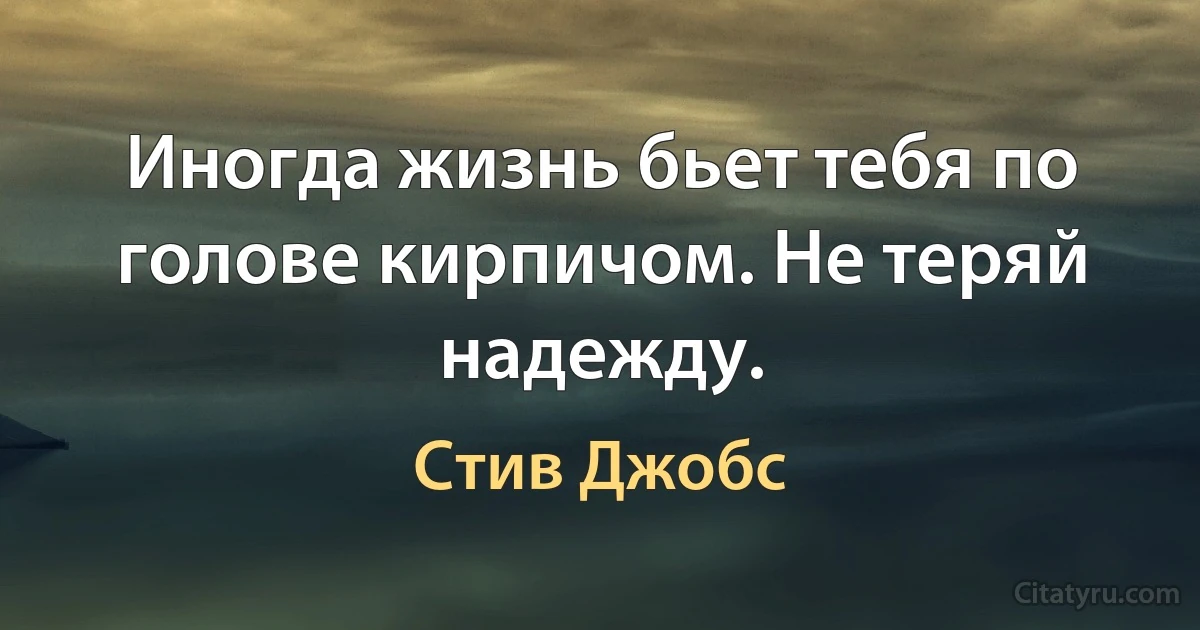 Иногда жизнь бьет тебя по голове кирпичом. Не теряй надежду. (Стив Джобс)