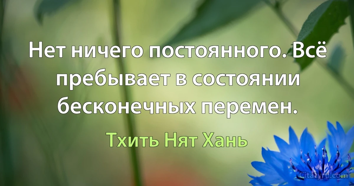 Нет ничего постоянного. Всё пребывает в состоянии бесконечных перемен. (Тхить Нят Хань)