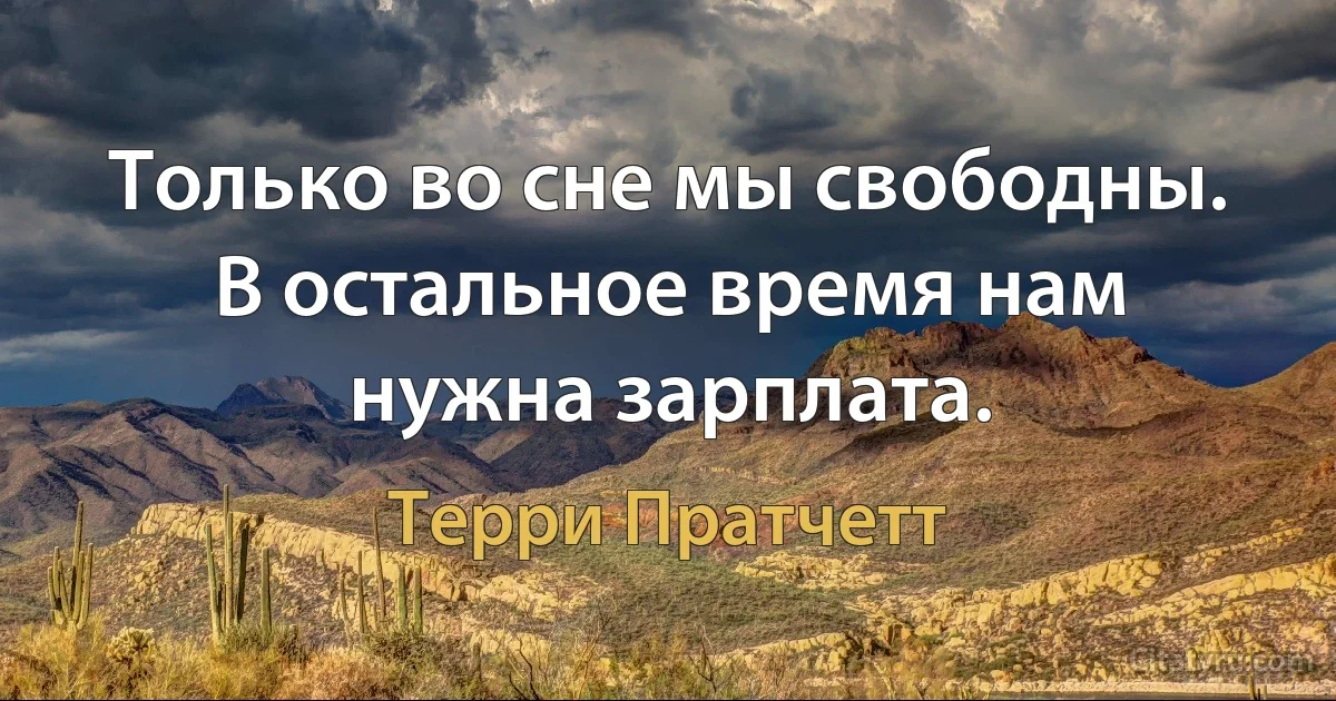 Только во сне мы свободны. В остальное время нам нужна зарплата. (Терри Пратчетт)