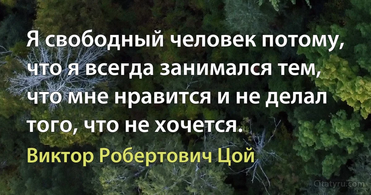 Я свободный человек потому, что я всегда занимался тем, что мне нравится и не делал того, что не хочется. (Виктор Робертович Цой)