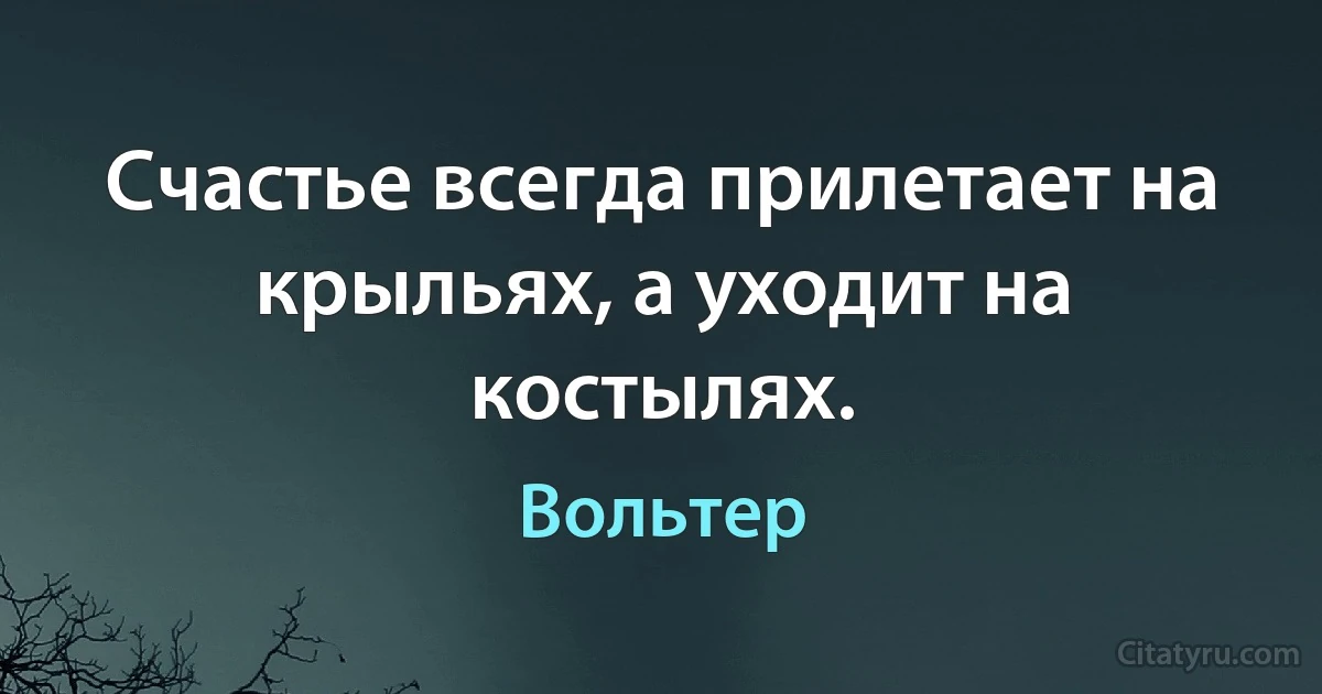 Счастье всегда прилетает на крыльях, а уходит на костылях. (Вольтер)