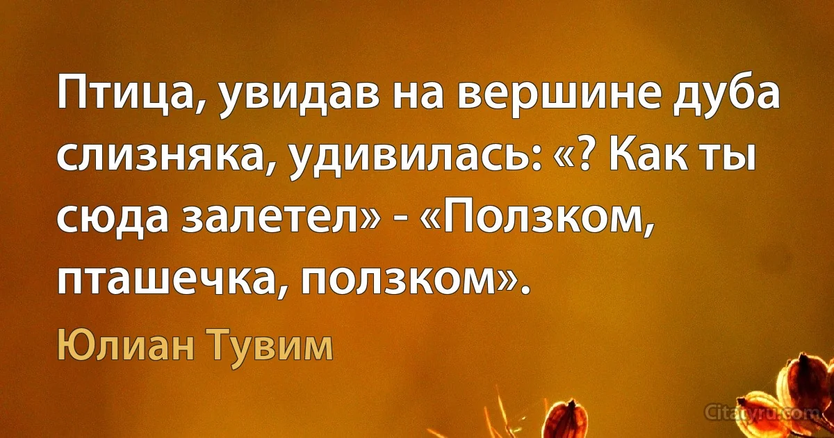 Птица, увидав на вершине дуба слизняка, удивилась: «? Как ты сюда залетел» - «Ползком, пташечка, ползком». (Юлиан Тувим)