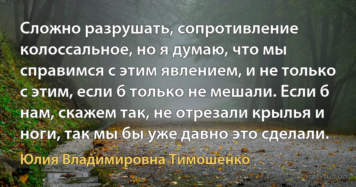 Сложно разрушать, сопротивление колоссальное, но я думаю, что мы справимся с этим явлением, и не только с этим, если б только не мешали. Если б нам, скажем так, не отрезали крылья и ноги, так мы бы уже давно это сделали. (Юлия Владимировна Тимошенко)