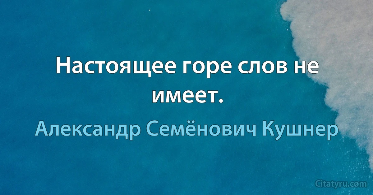 Настоящее горе слов не имеет. (Александр Семёнович Кушнер)