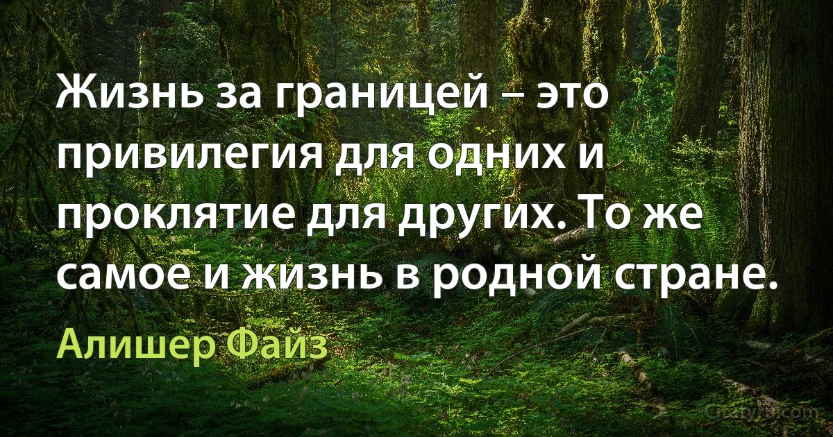 Жизнь за границей – это привилегия для одних и проклятие для других. То же самое и жизнь в родной стране. (Алишер Файз)