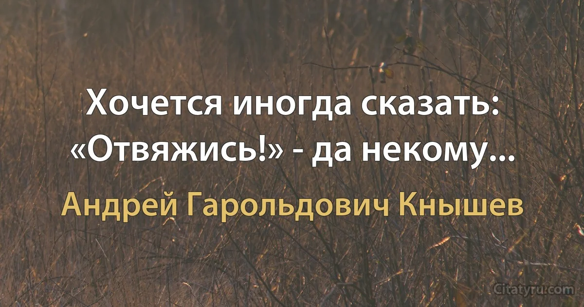 Хочется иногда сказать: «Отвяжись!» - да некому... (Андрей Гарольдович Кнышев)