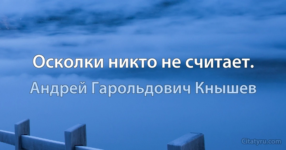 Осколки никто не считает. (Андрей Гарольдович Кнышев)