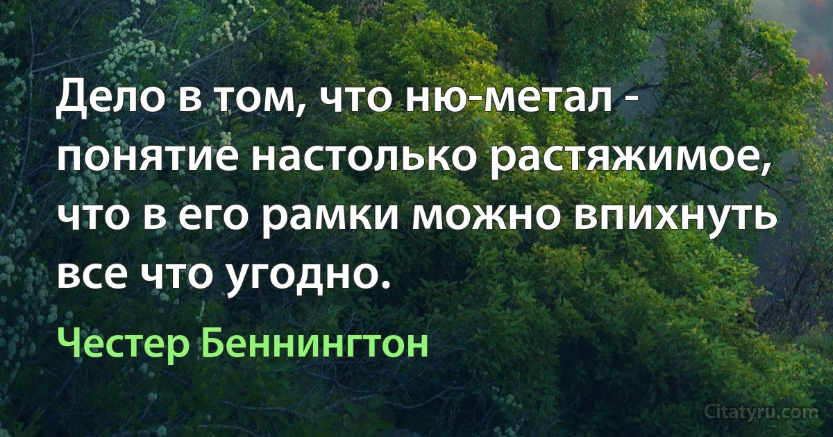 Дело в том, что ню-метал - понятие настолько растяжимое, что в его рамки можно впихнуть все что угодно. (Честер Беннингтон)