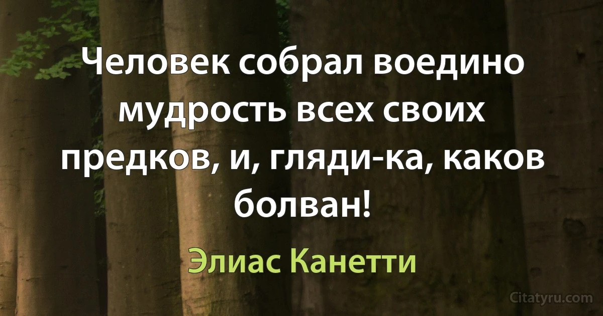 Человек собрал воедино мудрость всех своих предков, и, гляди-ка, каков болван! (Элиас Канетти)