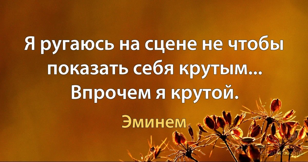 Я ругаюсь на сцене не чтобы показать себя крутым... Впрочем я крутой. (Эминем)