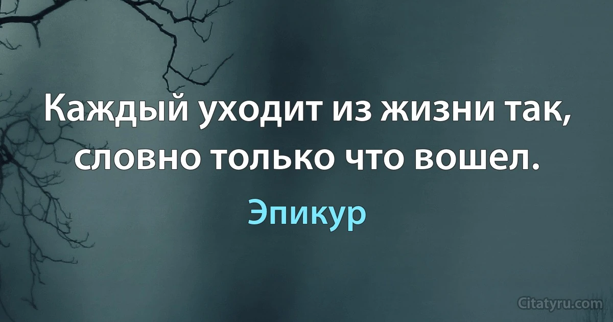 Каждый уходит из жизни так, словно только что вошел. (Эпикур)