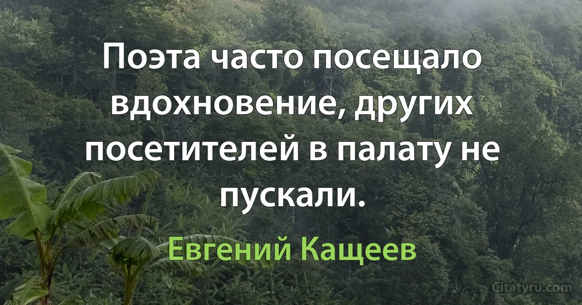 Поэта часто посещало вдохновение, других посетителей в палату не пускали. (Евгений Кащеев)