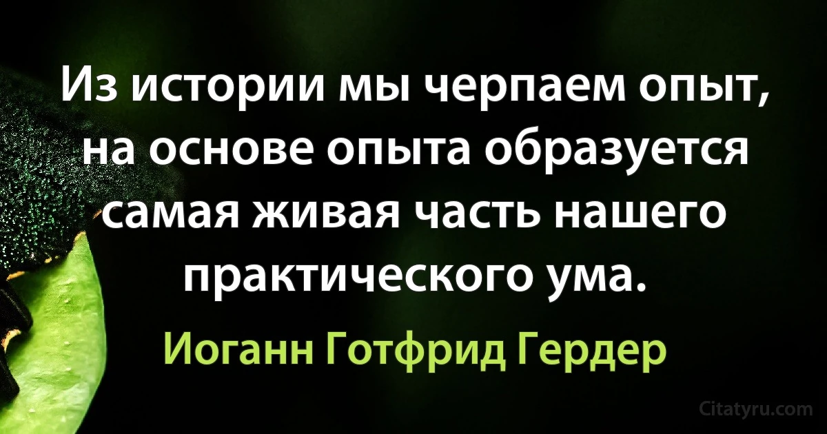 Из истории мы черпаем опыт, на основе опыта образуется самая живая часть нашего практического ума. (Иоганн Готфрид Гердер)