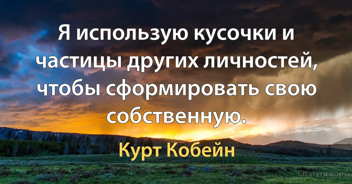 Я использую кусочки и частицы других личностей, чтобы сформировать свою собственную. (Курт Кобейн)