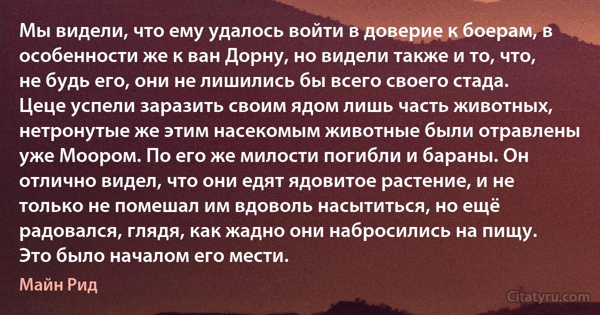 Мы видели, что ему удалось войти в доверие к боерам, в особенности же к ван Дорну, но видели также и то, что, не будь его, они не лишились бы всего своего стада. Цеце успели заразить своим ядом лишь часть животных, нетронутые же этим насекомым животные были отравлены уже Моором. По его же милости погибли и бараны. Он отлично видел, что они едят ядовитое растение, и не только не помешал им вдоволь насытиться, но ещё радовался, глядя, как жадно они набросились на пищу. Это было началом его мести. (Майн Рид)