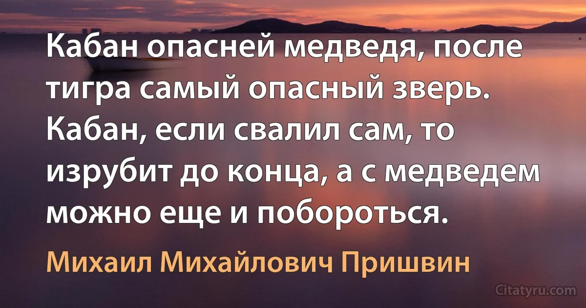 Кабан опасней медведя, после тигра самый опасный зверь. Кабан, если свалил сам, то изрубит до конца, а с медведем можно еще и побороться. (Михаил Михайлович Пришвин)