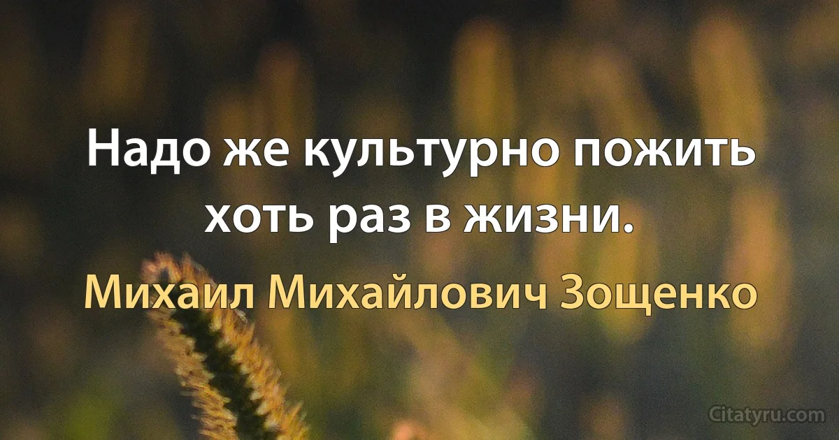 Надо же культурно пожить хоть раз в жизни. (Михаил Михайлович Зощенко)