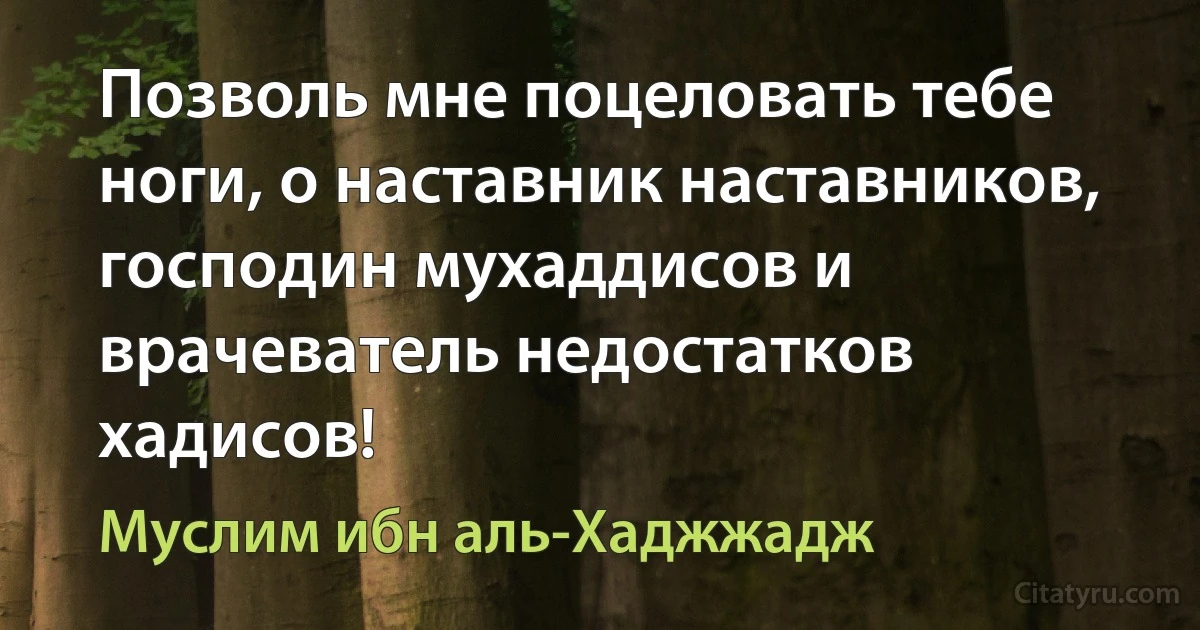 Позволь мне поцеловать тебе ноги, о наставник наставников, господин мухаддисов и врачеватель недостатков хадисов! (Муслим ибн аль-Хаджжадж)