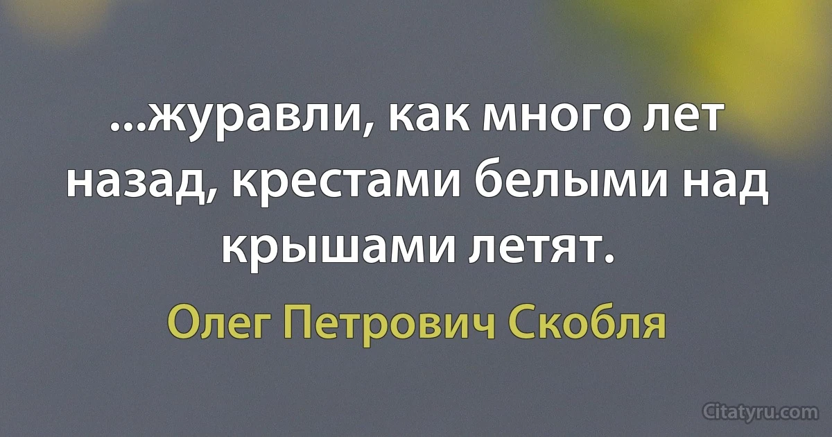 ...журавли, как много лет назад, крестами белыми над крышами летят. (Олег Петрович Скобля)