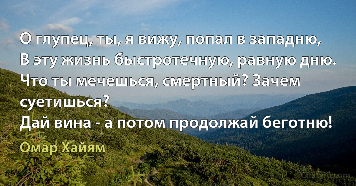 О глупец, ты, я вижу, попал в западню,
В эту жизнь быстротечную, равную дню.
Что ты мечешься, смертный? Зачем суетишься?
Дай вина - а потом продолжай беготню! (Омар Хайям)