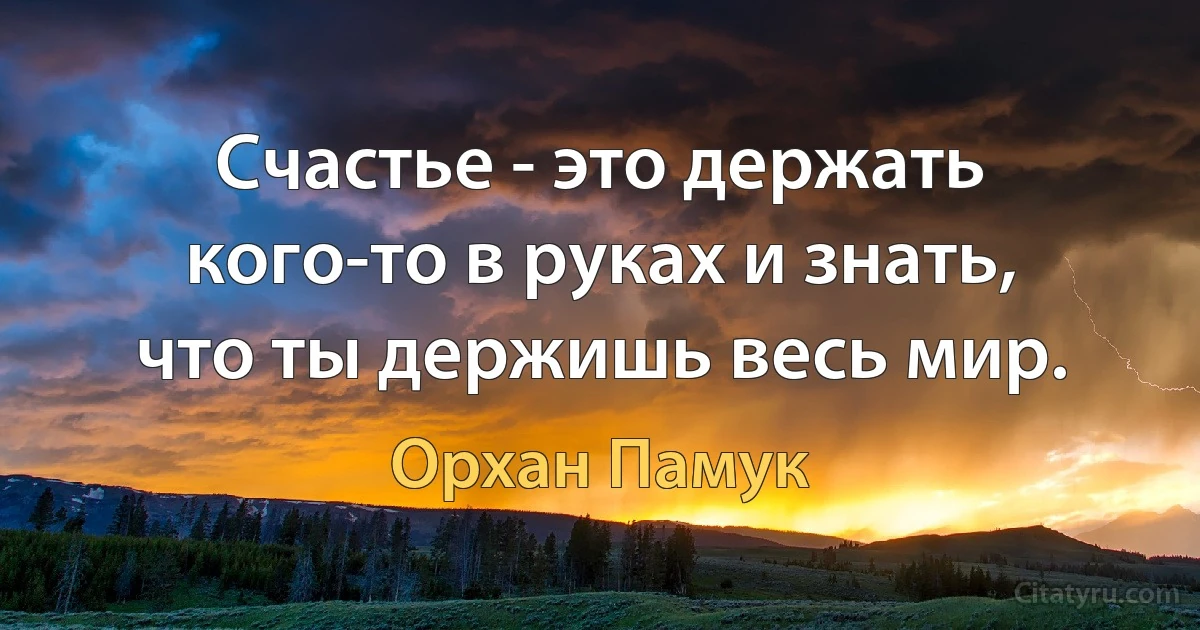 Счастье - это держать кого-то в руках и знать, что ты держишь весь мир. (Орхан Памук)