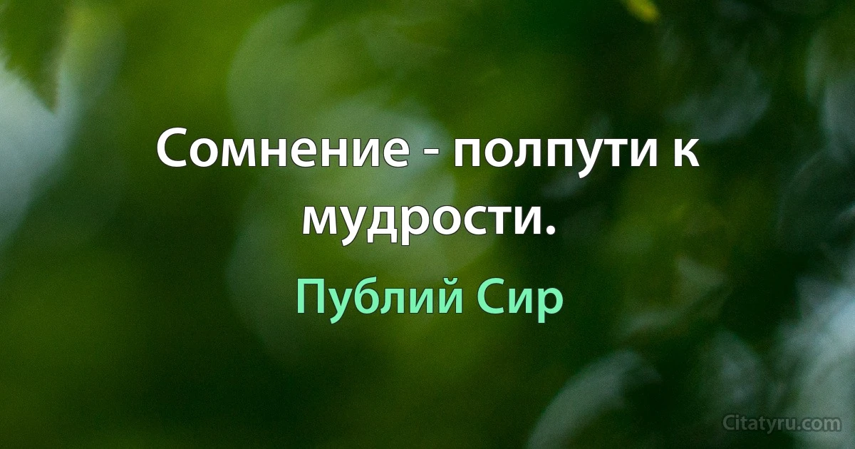 Сомнение - полпути к мудрости. (Публий Сир)