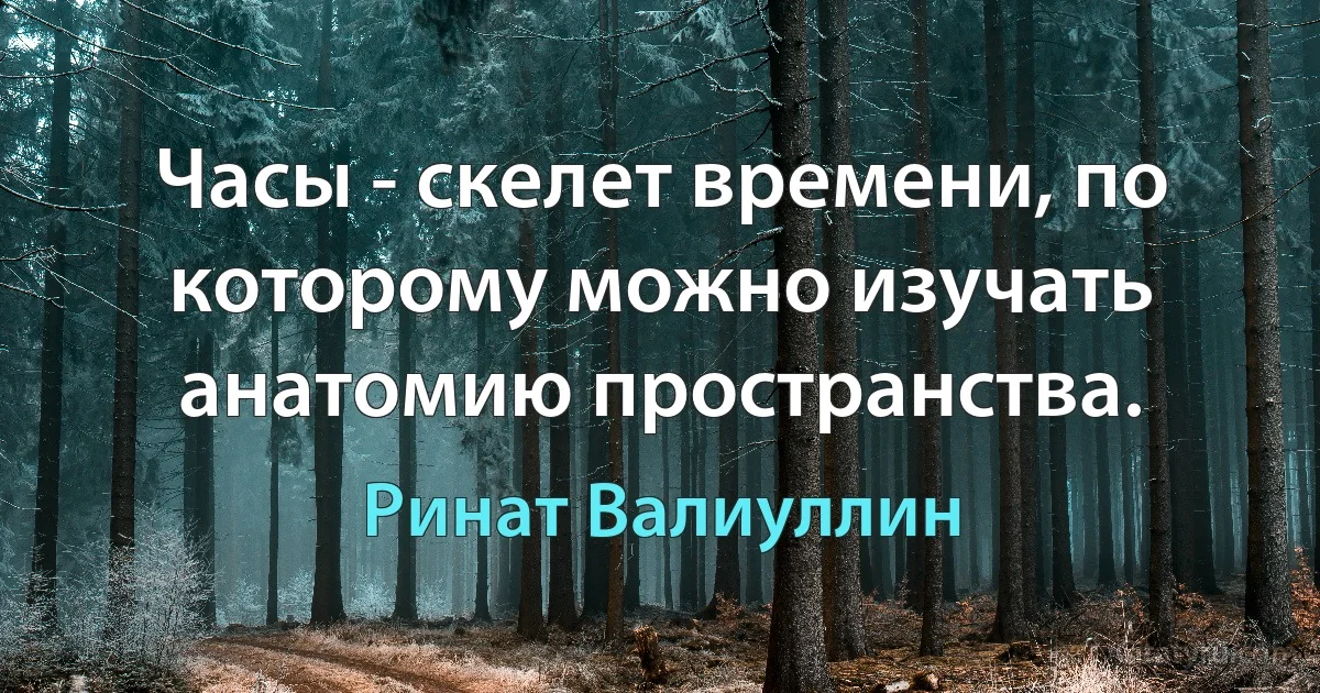 Часы - скелет времени, по которому можно изучать анатомию пространства. (Ринат Валиуллин)