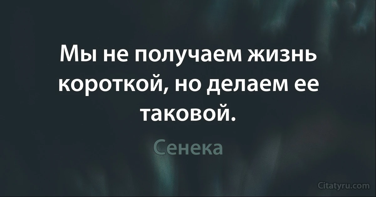 Мы не получаем жизнь короткой, но делаем ее таковой. (Сенека)