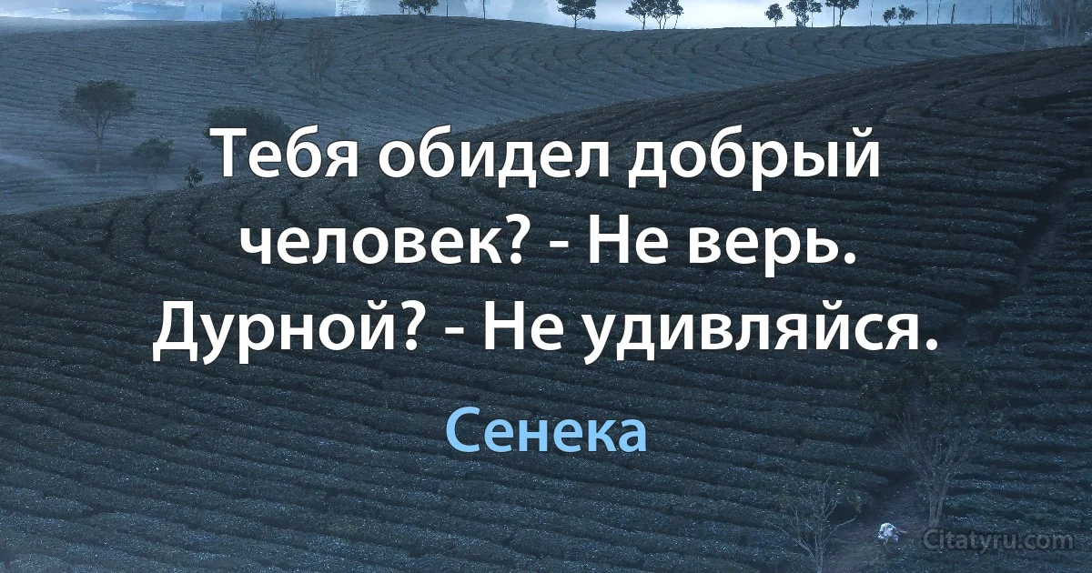 Тебя обидел добрый человек? - Не верь. Дурной? - Не удивляйся. (Сенека)