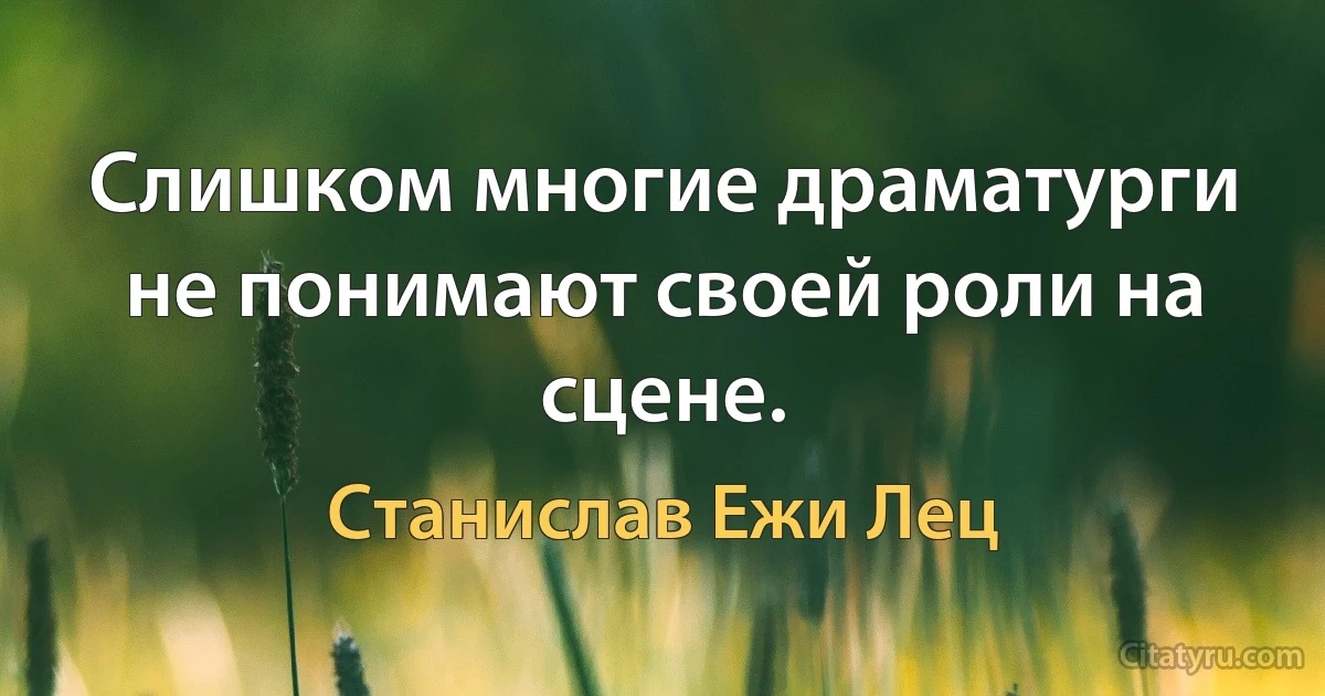 Слишком многие драматурги не понимают своей роли на сцене. (Станислав Ежи Лец)