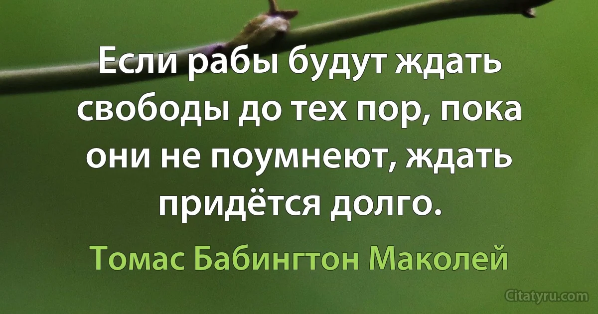 Если рабы будут ждать свободы до тех пор, пока они не поумнеют, ждать придётся долго. (Томас Бабингтон Маколей)