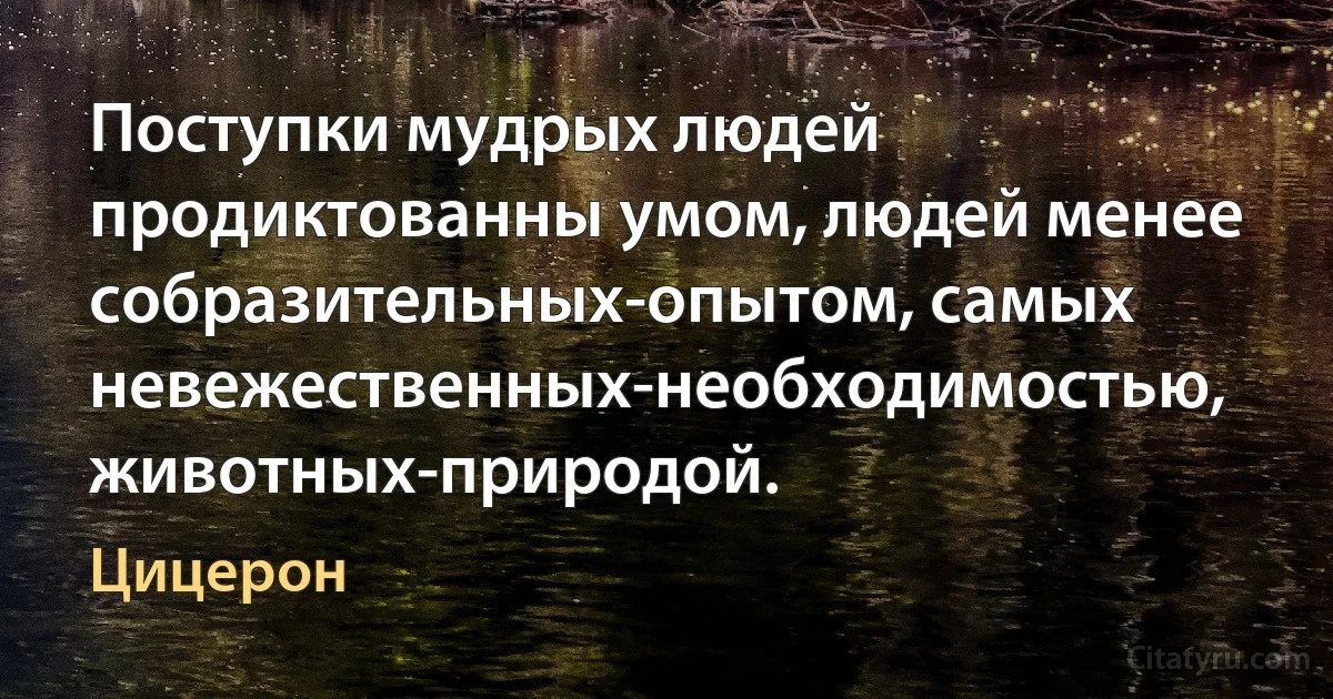 Поступки мудрых людей продиктованны умом, людей менее собразительных-опытом, самых невежественных-необходимостью, животных-природой. (Цицерон)