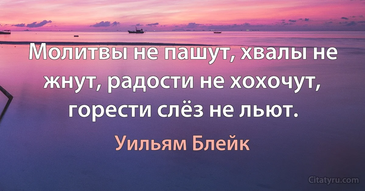 Молитвы не пашут, хвалы не жнут, радости не хохочут, горести слёз не льют. (Уильям Блейк)