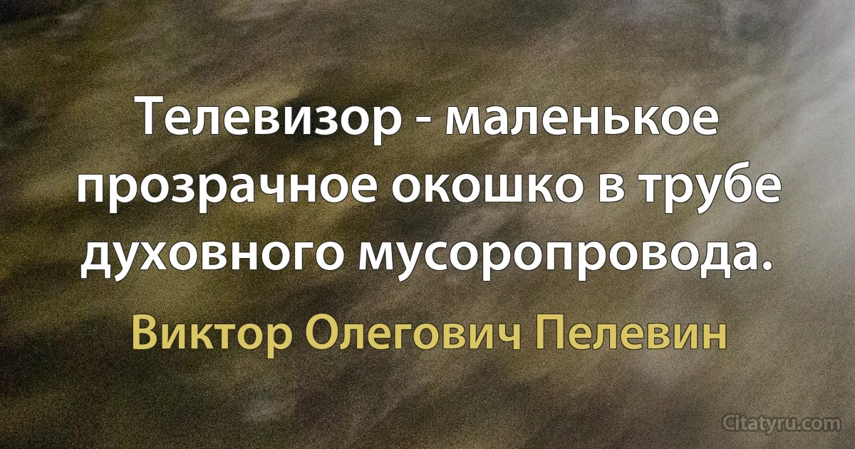 Телевизор - маленькое прозрачное окошко в трубе духовного мусоропровода. (Виктор Олегович Пелевин)