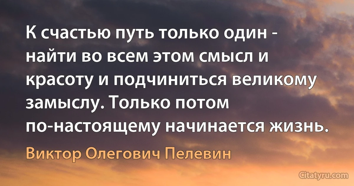 К счастью путь только один - найти во всем этом смысл и красоту и подчиниться великому замыслу. Только потом по-настоящему начинается жизнь. (Виктор Олегович Пелевин)