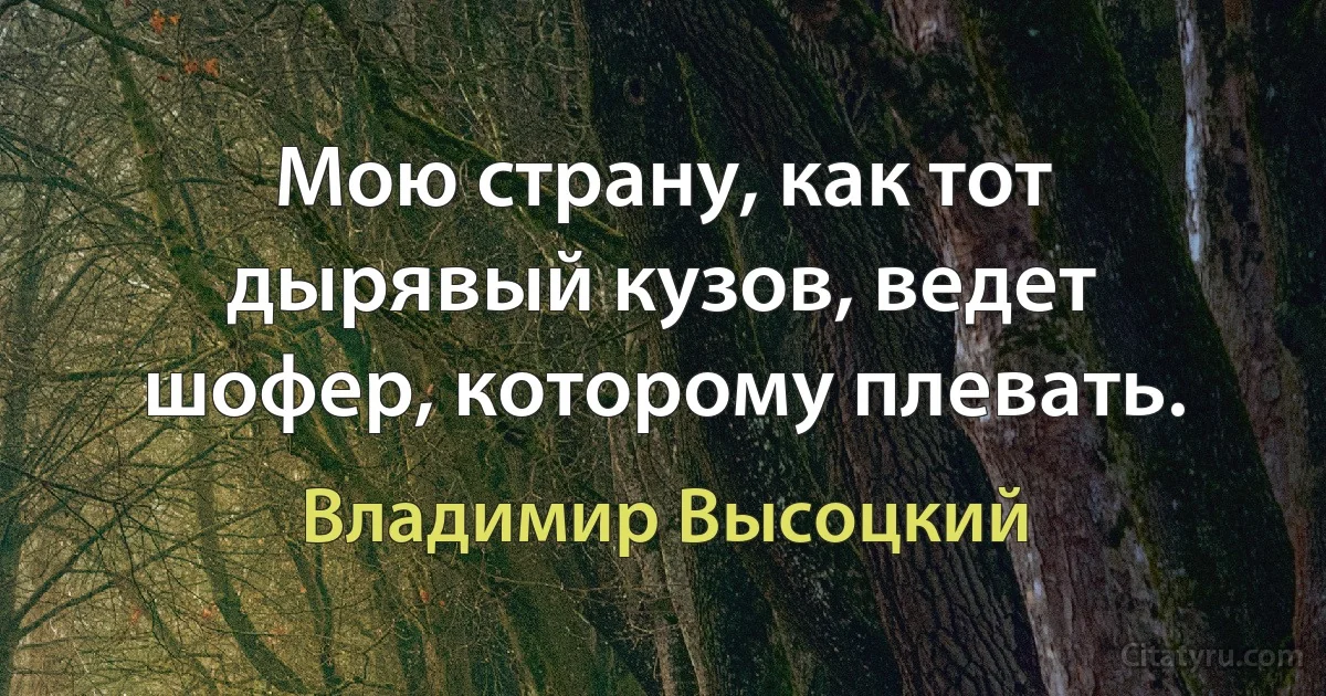 Мою страну, как тот дырявый кузов, ведет шофер, которому плевать. (Владимир Высоцкий)