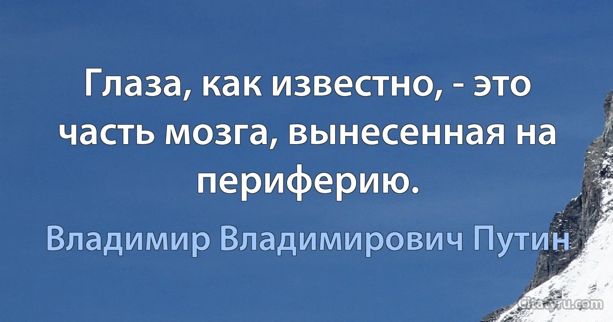 Глаза, как известно, - это часть мозга, вынесенная на периферию. (Владимир Владимирович Путин)