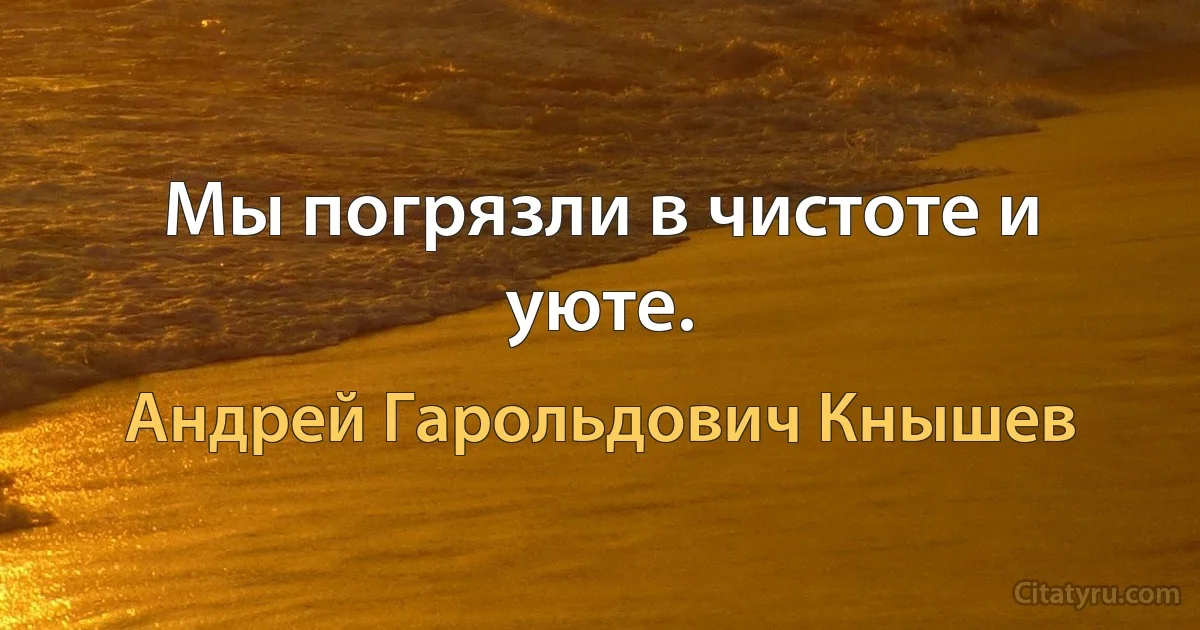 Мы погрязли в чистоте и уюте. (Андрей Гарольдович Кнышев)