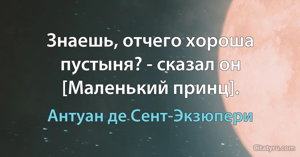 Знаешь, отчего хороша пустыня? - сказал он [Маленький принц]. (Антуан де Сент-Экзюпери)