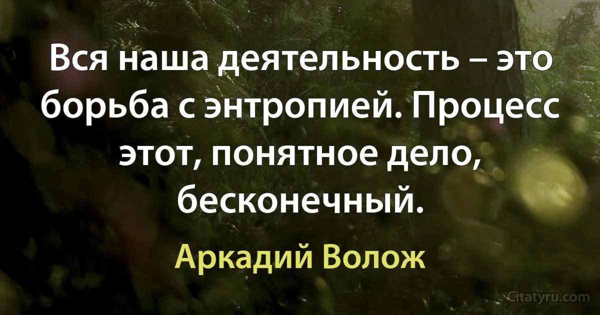 Вся наша деятельность – это борьба с энтропией. Процесс этот, понятное дело, бесконечный. (Аркадий Волож)