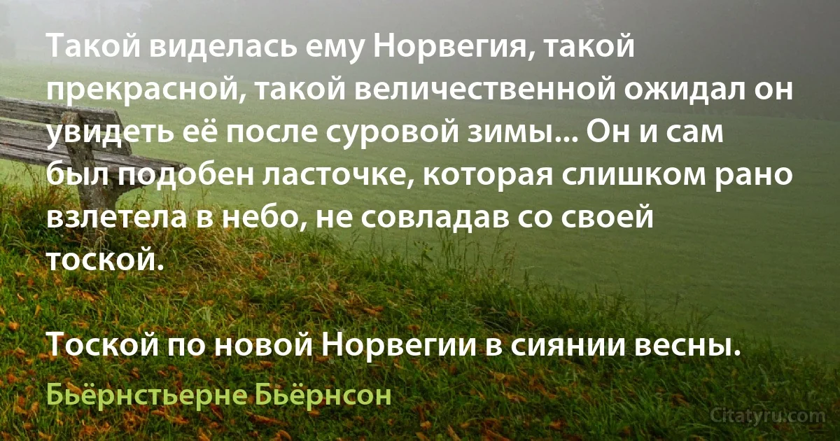 Такой виделась ему Норвегия, такой прекрасной, такой величественной ожидал он увидеть её после суровой зимы... Он и сам был подобен ласточке, которая слишком рано взлетела в небо, не совладав со своей тоской.

Тоской по новой Норвегии в сиянии весны. (Бьёрнстьерне Бьёрнсон)