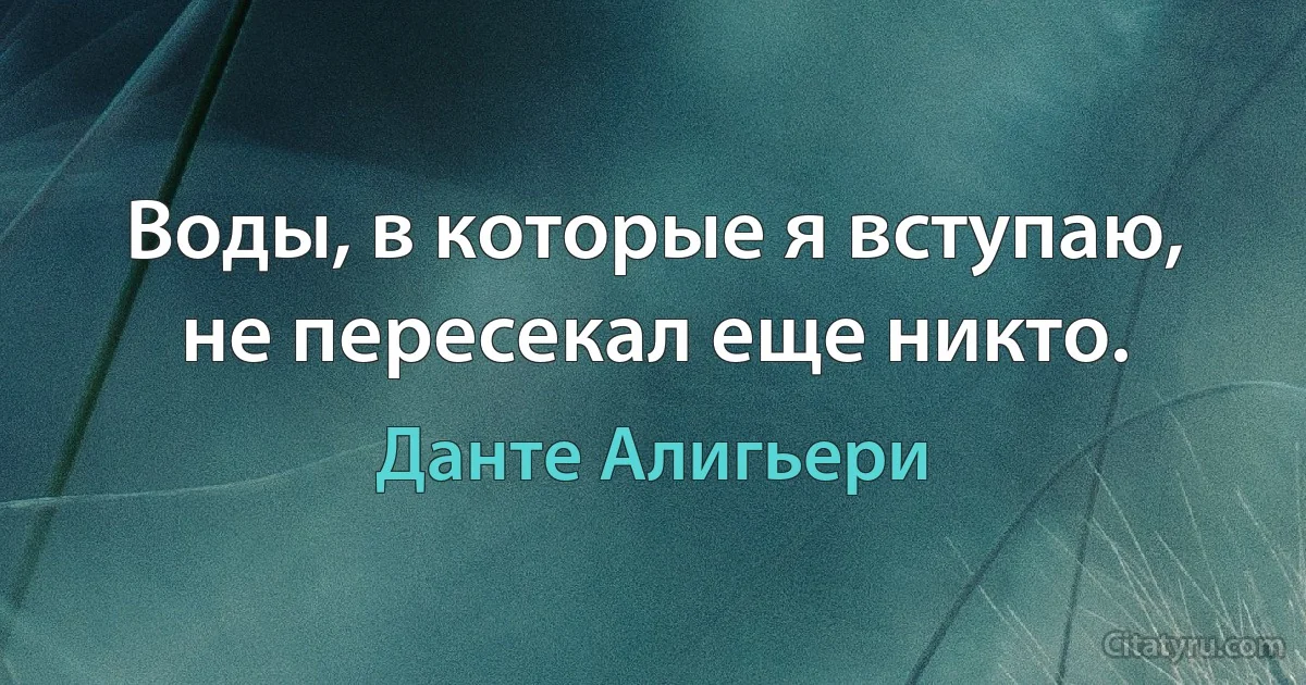 Воды, в которые я вступаю, не пересекал еще никто. (Данте Алигьери)