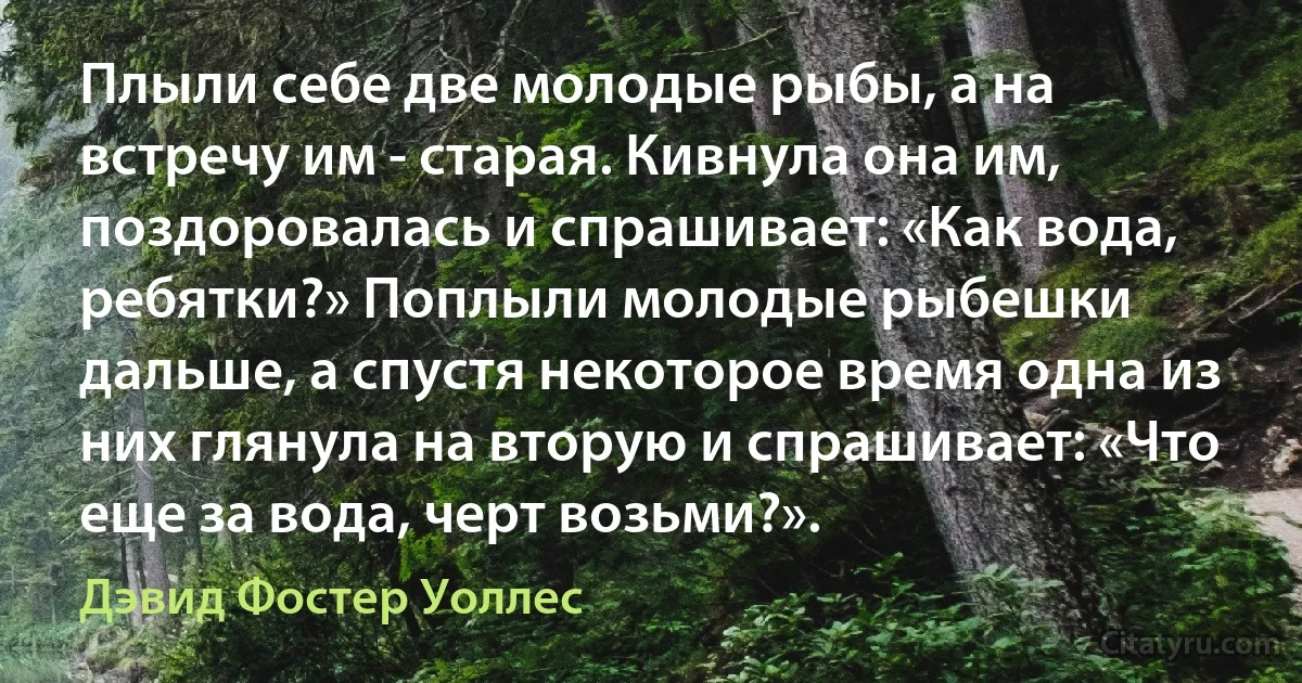 Плыли себе две молодые рыбы, а на встречу им - старая. Кивнула она им, поздоровалась и спрашивает: «Как вода, ребятки?» Поплыли молодые рыбешки дальше, а спустя некоторое время одна из них глянула на вторую и спрашивает: «Что еще за вода, черт возьми?». (Дэвид Фостер Уоллес)