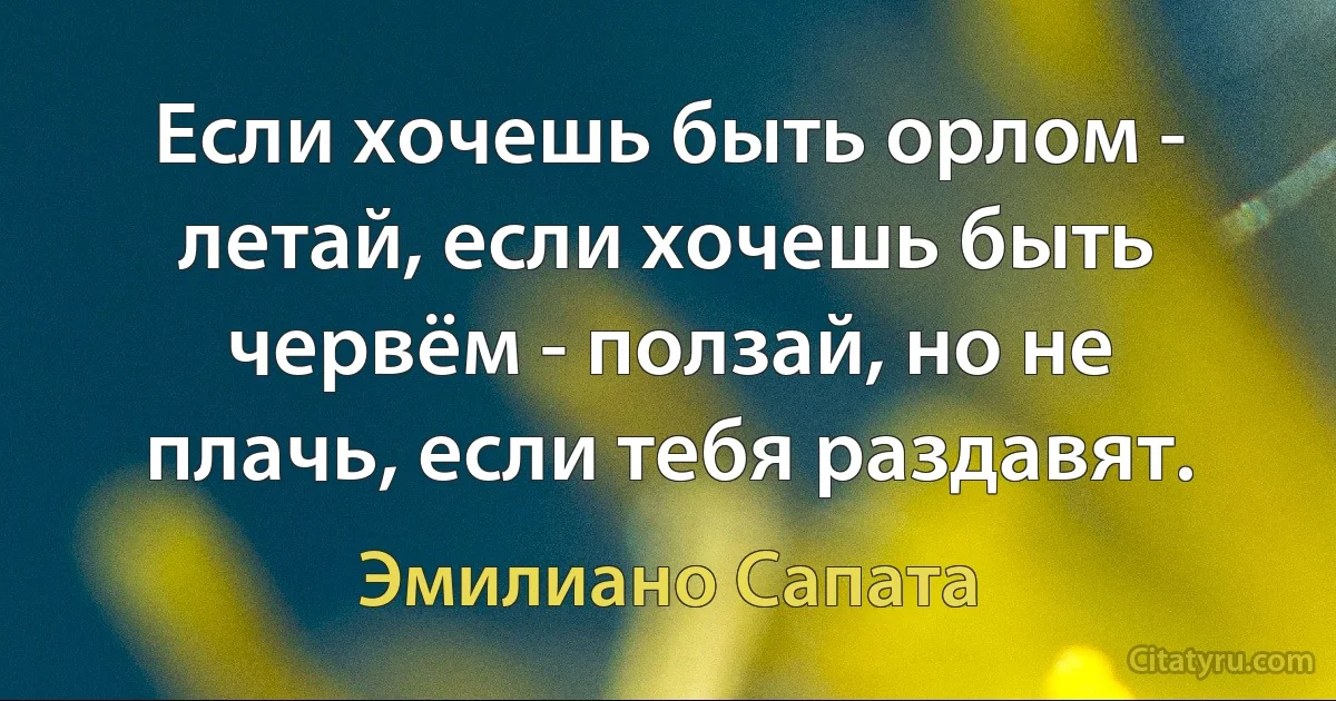 Если хочешь быть орлом - летай, если хочешь быть червём - ползай, но не плачь, если тебя раздавят. (Эмилиано Сапата)