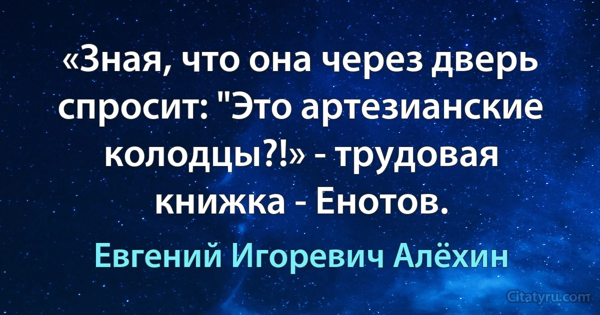 «Зная, что она через дверь спросит: "Это артезианские колодцы?!» - трудовая книжка - Енотов. (Евгений Игоревич Алёхин)