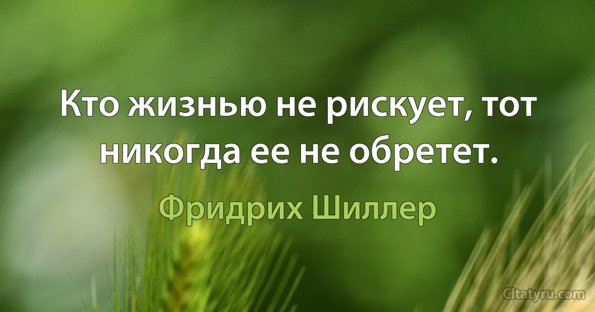 Кто жизнью не рискует, тот никогда ее не обретет. (Фридрих Шиллер)