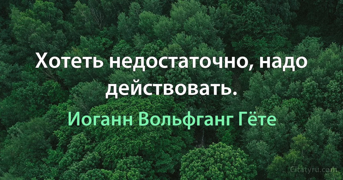 Хотеть недостаточно, надо действовать. (Иоганн Вольфганг Гёте)