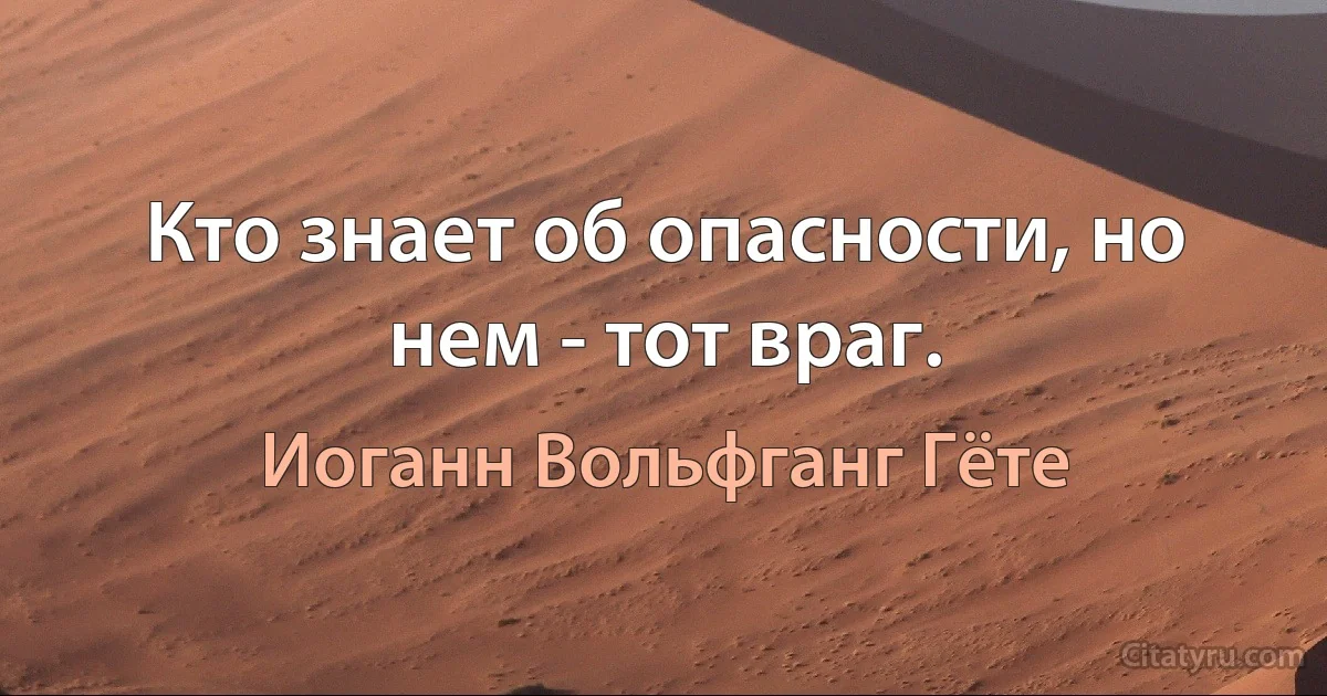 Кто знает об опасности, но нем - тот враг. (Иоганн Вольфганг Гёте)