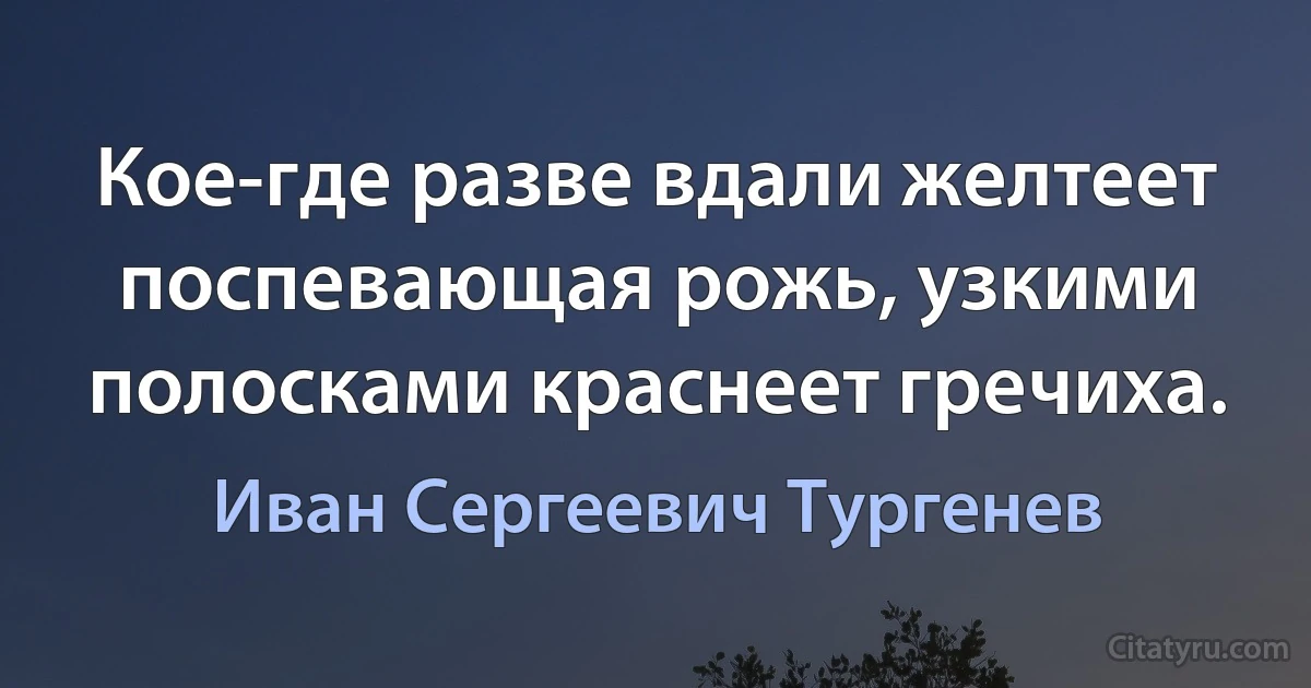 Кое-где разве вдали желтеет поспевающая рожь, узкими полосками краснеет гречиха. (Иван Сергеевич Тургенев)